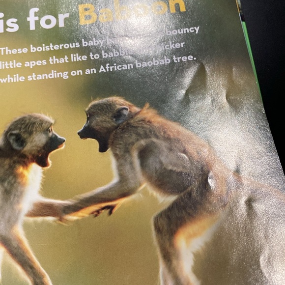 National Geographic Little Kids: African Animal Alphabet - Hardcover Book - Picture 8 of 10